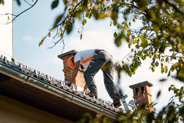 Steel Roofing in Woodbine, GA