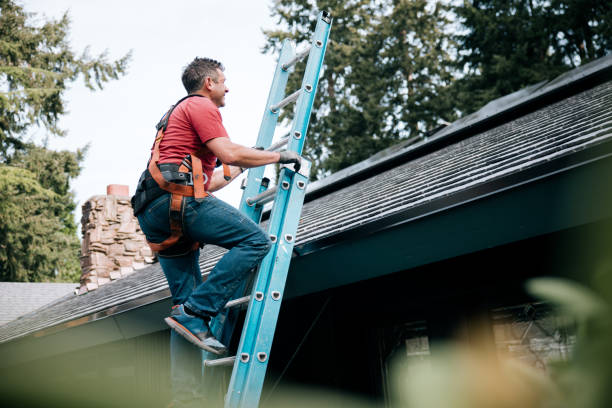 Best Gutter Installation and Repair  in Woodbine, GA